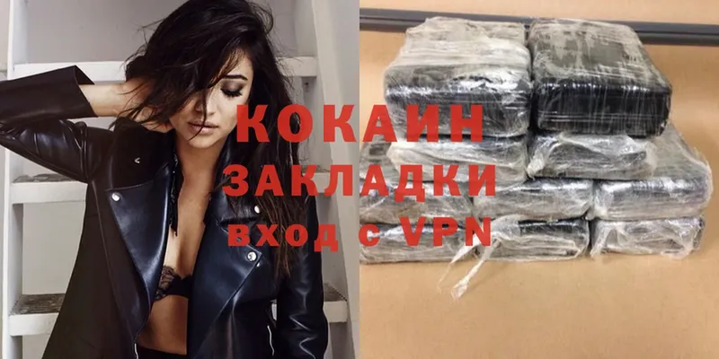 shop наркотические препараты  Пыталово  Кокаин FishScale  закладка 